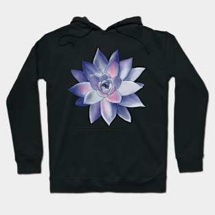 Colorful Succulent - Pink and Purple Hoodie